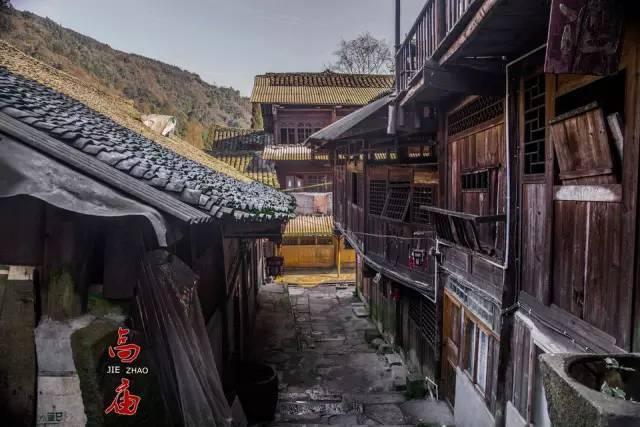 动物帮帮忙保卫家园